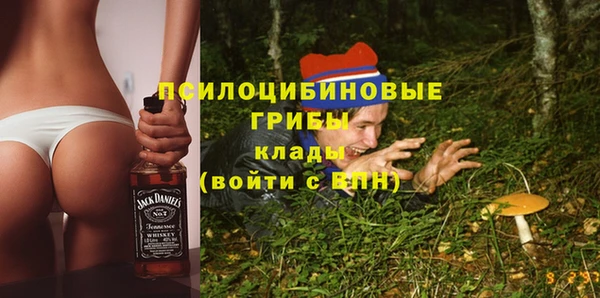сатива Алзамай
