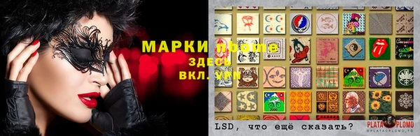 ГАЛЛЮЦИНОГЕННЫЕ ГРИБЫ Пересвет