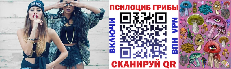 Псилоцибиновые грибы мухоморы  hydra как зайти  Зеленокумск 